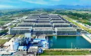 Chăn nuôi lợn nhà cao tầng công nghệ cao tại Hà Nội: Giải pháp đột phá hay bài toán môi trường mới?