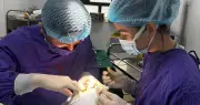 Chấn thương mắt khi chơi thể thao: Nguy cơ mất thị lực vĩnh viễn