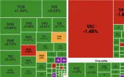 Chứng khoán hồi phục, VN-Index tăng 7,66 điểm lên 1.799,31