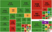 Chứng khoán điều chỉnh phiên thứ 7 liên tiếp, VN-Index mất 7,46 điểm