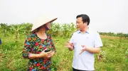 Chính quyền phục vụ: Bài học từ Minh Châu và thách thức quản trị địa phương 2 cấp