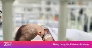 Chu kỳ sốt xuất huyết rút ngắn còn 3-4 năm, TP.HCM cảnh báo nguy cơ đỉnh dịch