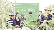 Chuỗi giá trị a-ti-sô Sa Pa: Mô hình '4 nhà' thúc đẩy kinh tế dược liệu bền vững