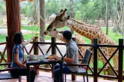 Chuỗi trải nghiệm độc lạ thu hút du khách về Bắc đảo Phú Quốc