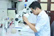 Chuyên gia: Cơ chế linh hoạt là đòn bẩy phát triển công nghệ chiến lược