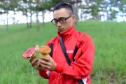 Chuyên gia cảnh báo ranh giới mong manh giữa nấm ngon và nấm độc ở Đà Lạt