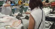 Chuyên gia dinh dưỡng: Đừng sợ cá biển, hãy học cách chọn cá thông minh