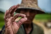 Chuyên gia ngọc học vạch trần những hiểu lầm phổ biến về kim cương