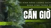 Chuyển đổi xanh ở Cần Giờ: Từ ao tôm đến đô thị năng lượng sạch