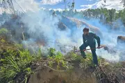 Cháy rừng ở Đà Nẵng: Phát hiện thi thể người đàn ông tử vong