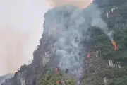 Cháy rừng phòng hộ ở Ninh Bình do sét đánh, thiệt hại 3.500m2