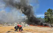 Cháy rừng phòng hộ ven biển tại Quảng Ngãi đã được khống chế