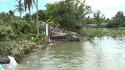 Cần Thơ thiệt hại nặng do sạt lở và dông lốc, khẩn trương ứng phó