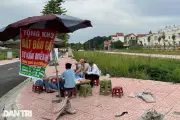 Công an Hà Nội cảnh báo chiêu lợi dụng đấu giá đất để lừa đảo