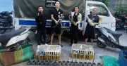 Công an TP.HCM triệt phá đường dây trộm cắp mèo liên tỉnh