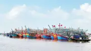 Cảng Cửa Việt bị bồi lấp nghiêm trọng, tàu thuyền ra vào khó khăn