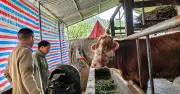 Công nghệ số giúp người dân vùng cao Thắng Mố thoát nghèo