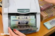 Cảng Đình Vũ chi 200 tỷ đồng cổ tức, cổ đông lớn nhất hưởng gần 102 tỷ