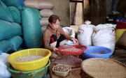 Công phu làm nên những giọt dầu vàng từ đậu phụng Quảng Ngãi