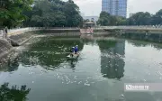 Công viên Nghĩa Đô sau cải tạo: Cá chết hàng loạt, hồ bốc mùi hôi