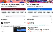 Cảnh báo chiêu trò lừa đảo cá độ bóng đá mùa World Cup 2026
