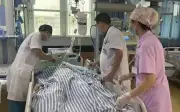 Cảnh báo say nắng: Người đàn ông 30 tuổi tử vong sau 2 giờ làm việc ngoài trời 40°C