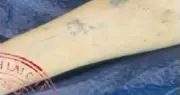 Cảnh sát truy tìm lai lịch thi thể có hình xăm vương miện trên cánh tay