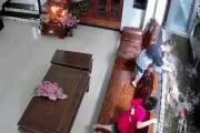 Con trai nghỉ hè cho cá ăn quá nhiều khiến 17 con cá Koi chết sạch