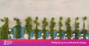 Cuộc đua giành quỹ đất tại Hồ Tràm: Ai đang nắm giữ những khu đất lớn?