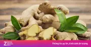 Cây thuốc quen thuộc bổ chẳng kém nhân sâm, không chăm vẫn mọc um tùm