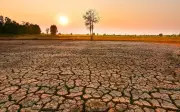 Dự báo El Niño mạnh nhất kể từ 1950, ảnh hưởng đến Việt Nam