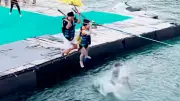 Dù lượn đứt dây ở Kiên Hải: Doanh nghiệp từng bị đình chỉ vẫn hoạt động
