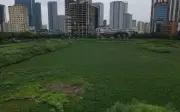 Dự án công viên hồ điều hòa 1.600 tỷ đồng tại Hà Nội vẫn hoang hóa sau 15 năm