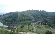 Dự án công viên sinh thái tre luồng Thanh Tam đình trệ 10 năm vì xung đột pháp lý