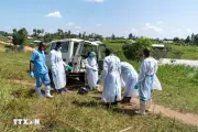 Dịch Ebola Tây Phi: Tăng cường biện pháp chuẩn bị và phòng ngừa