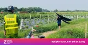 Diều sáo gắn đèn khiến nhiều chuyến bay phải chuyển hướng hạ cánh