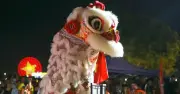 Dàn 'anh tài' lân sư rồng đổ bộ Đà Nẵng tranh tài Mai Hoa Thung