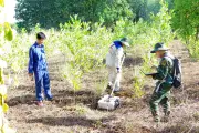 Dùng radar xuyên đất tìm mộ liệt sỹ tập thể ở Quảng Trị
