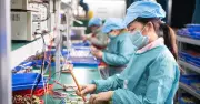 Doanh nghiệp 5 tháng: Thành lập mới tăng 42%, giải thể tăng 99%