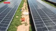 Doanh nghiệp Việt trong làn sóng đầu tư năng lượng tái tạo