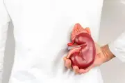 Dấu hiệu hàng ngày cho thấy thận khỏe mạnh