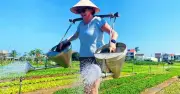 Du khách dành 11 ngày chỉ ở Hội An: Lý do không hối tiếc
