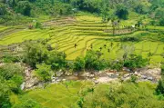 Du lịch dân tộc Quảng Ngãi: Bảo tồn văn hóa, phát triển bền vững