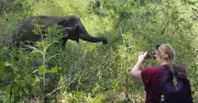 Du lịch thân thiện với voi tại Vườn quốc gia Yók Đôn: Theo dấu chân voi giữa rừng tự nhiên