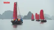 Du thuyền buồm nâu ra khơi trên vịnh Hạ Long, tái hiện văn hóa biển