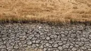 El Nino 80-90% xuất hiện nửa cuối năm, đe dọa năng lượng và nông nghiệp