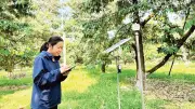 El Nino cực mạnh đe dọa nông nghiệp Việt Nam giai đoạn nước rút