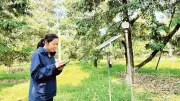El Nino chính thức hình thành, dự báo mạnh lên nửa cuối năm 2026