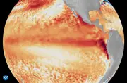 El Nino chính thức xuất hiện, dự báo mạnh nhất lịch sử từ năm 1950