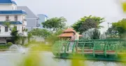Five Star Eco City sắp có hồ bơi khoáng thiên nhiên hơn 1.020 m²